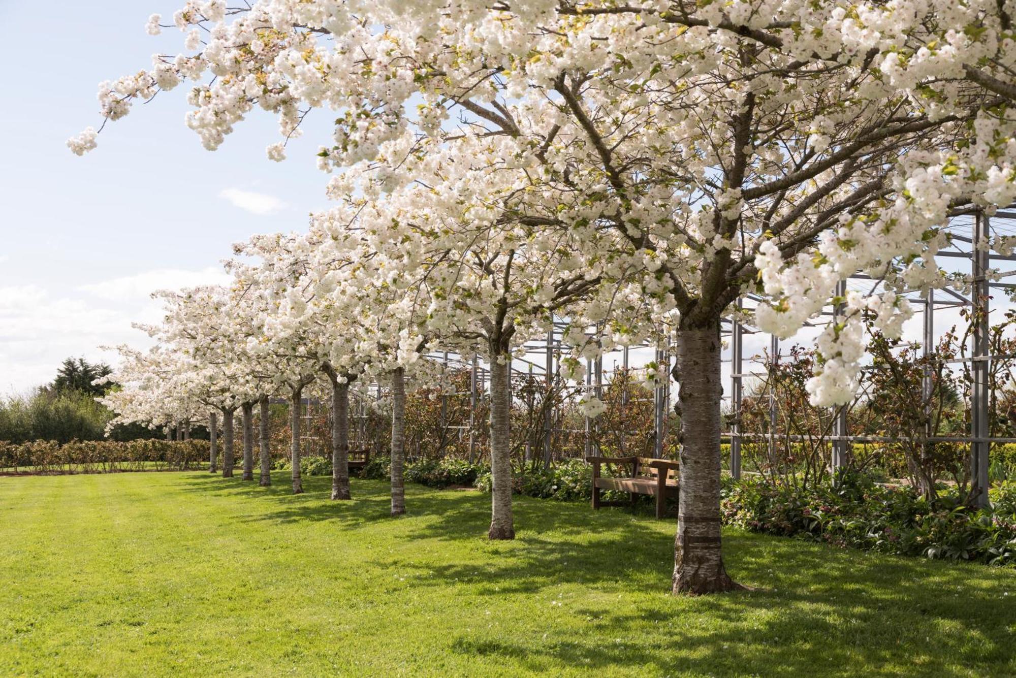 Woolmers Estate Longford ภายนอก รูปภาพ