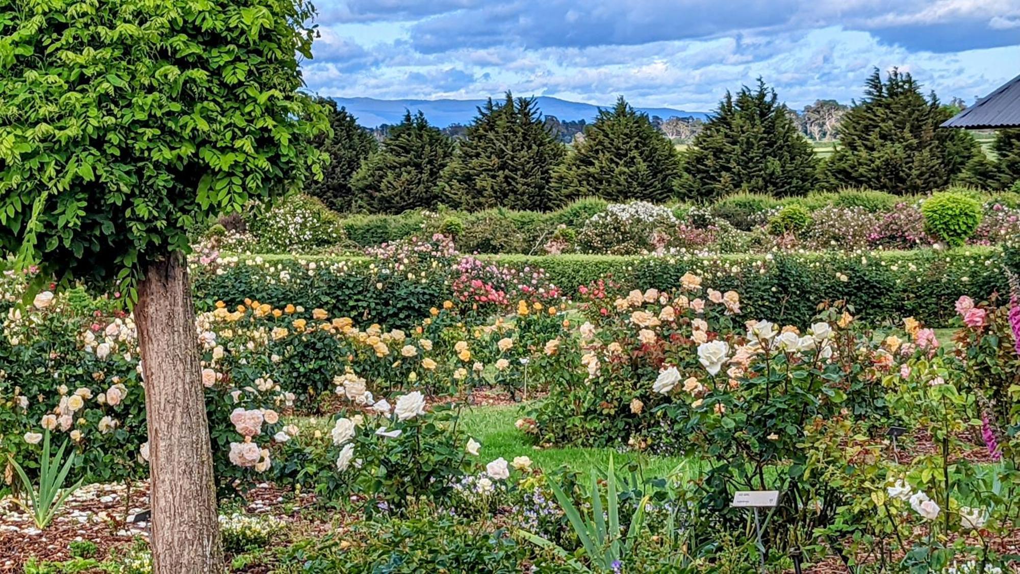 Woolmers Estate Longford ภายนอก รูปภาพ