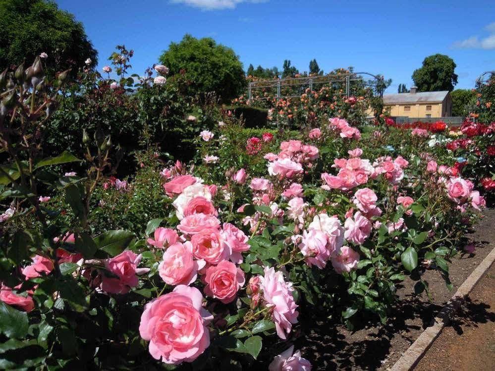 Woolmers Estate Longford ภายนอก รูปภาพ