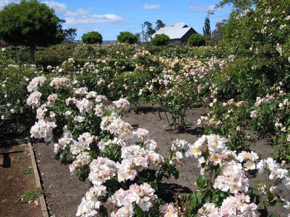 Woolmers Estate Longford ภายนอก รูปภาพ